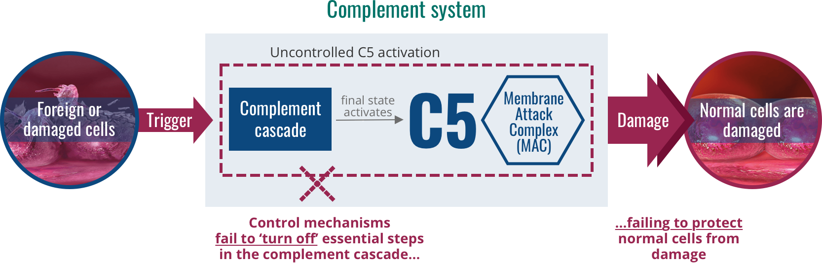 Abnormally functioning complement system